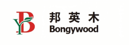 Bongywood logo