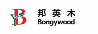 Bongywood logo