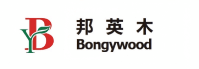 Bongywood logo