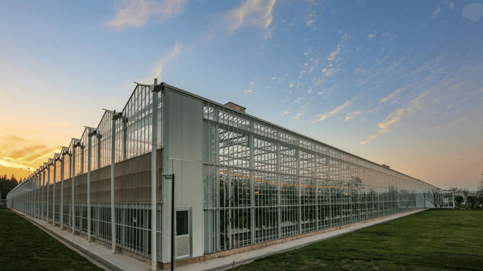 Nanjing Deeppine Biotech Co., Ltd.