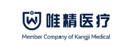Wiseking Medical logo