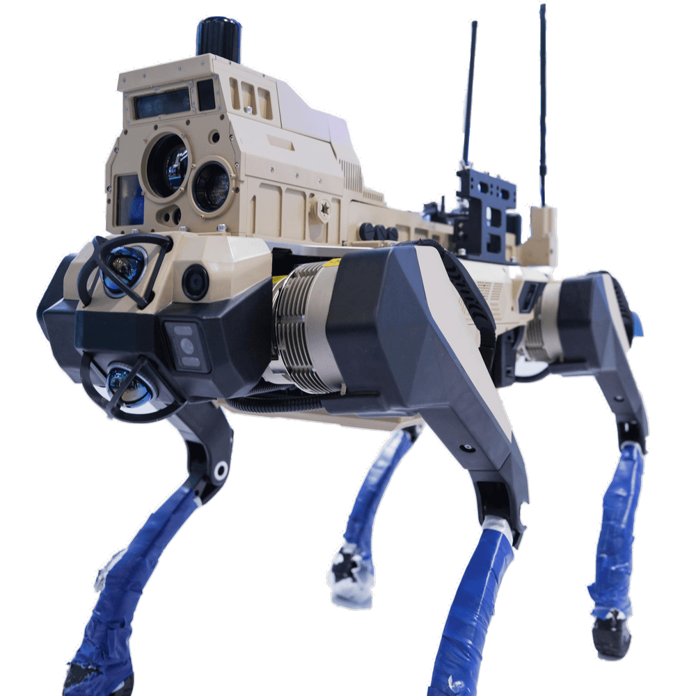 Quadrupedal Inspection Robot