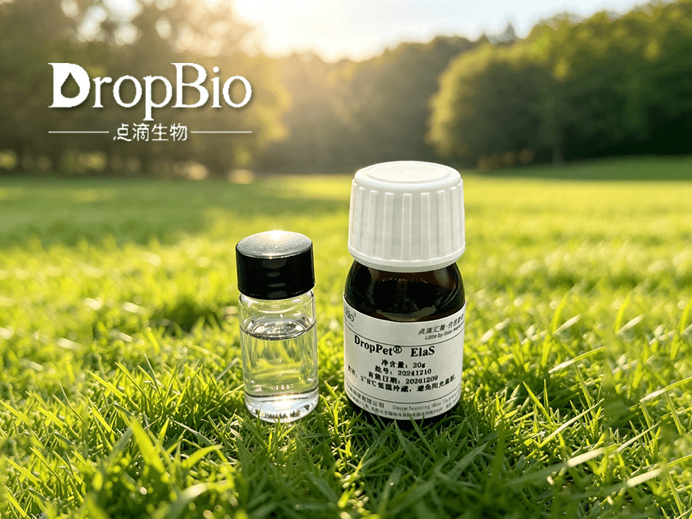Tripeptide-1 Hexapeptide-9 Palmitoyl Tripeptide-1 Palmitoyl Tripeptide-5 Palmitoyl Tetrapeptide-7 Pa
