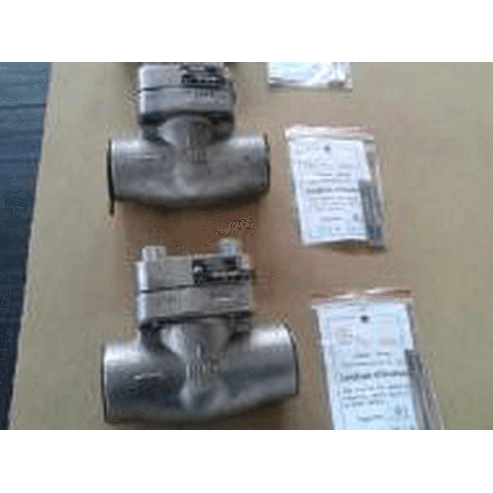 Jiulong Forged Steel Check Valve